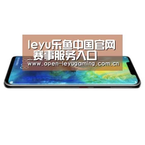 华为无线快充手机