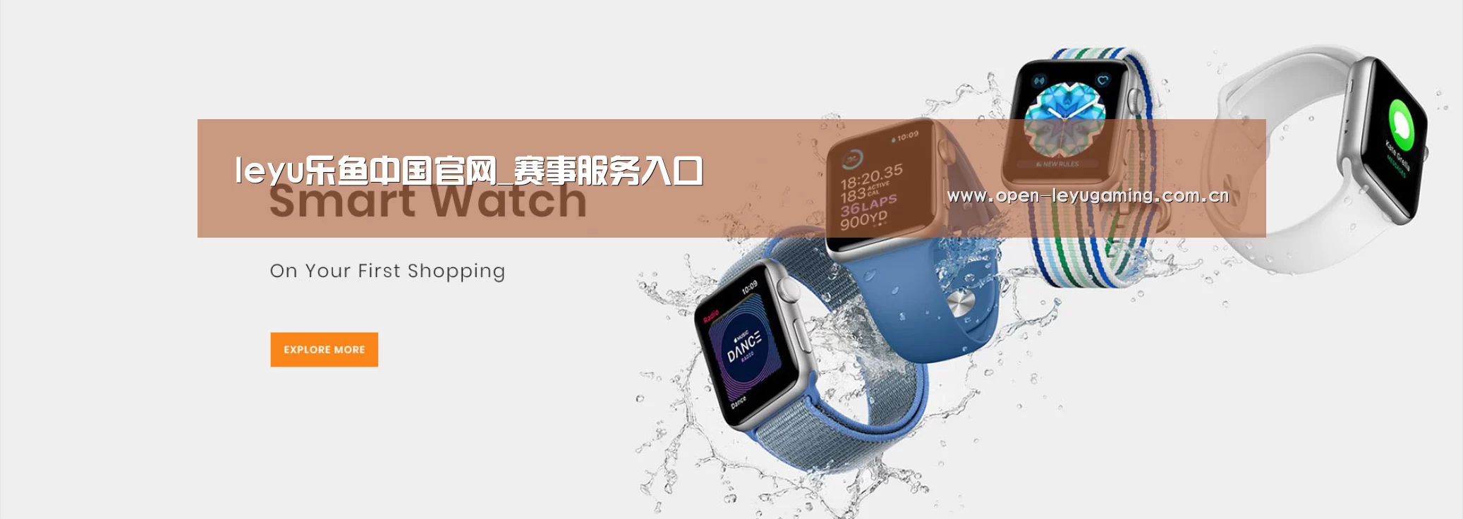 某某网络科技有限公司