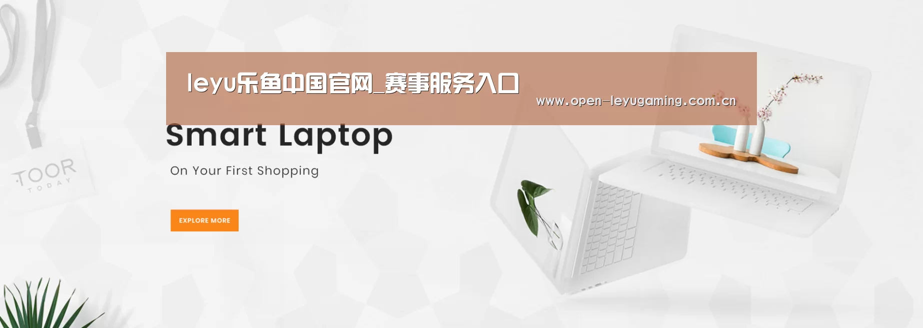 某某网络科技有限公司