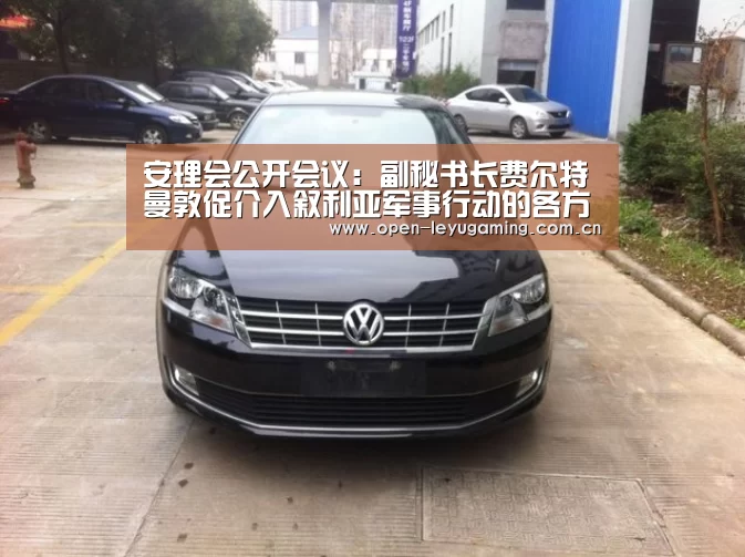 安理会公开会议:副秘书长费尔特曼敦促介入叙利亚军事行动的各方遵守国际法_乐鱼leyu登录入口(图3) 乐鱼真人