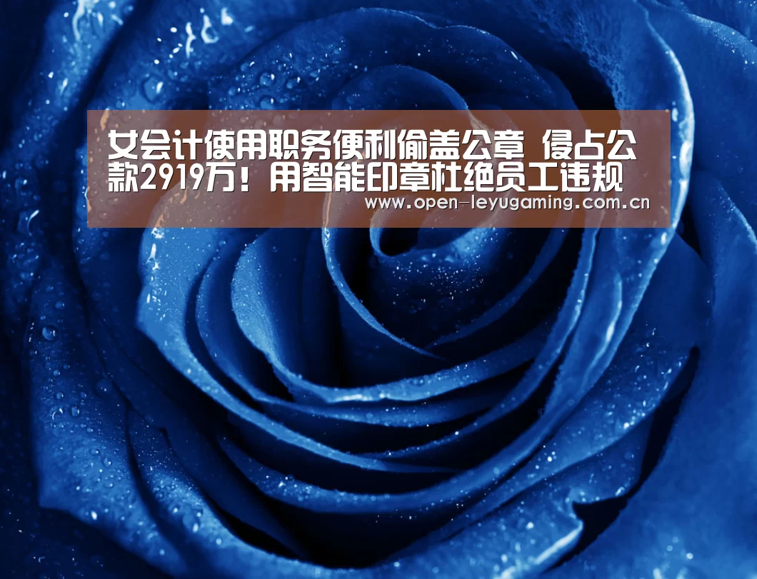 女会计使用职务便利偷盖公章 侵占公款2919万!用智能印章杜绝员工违规用印-乐鱼真人(图2) 乐鱼leyu登录入口