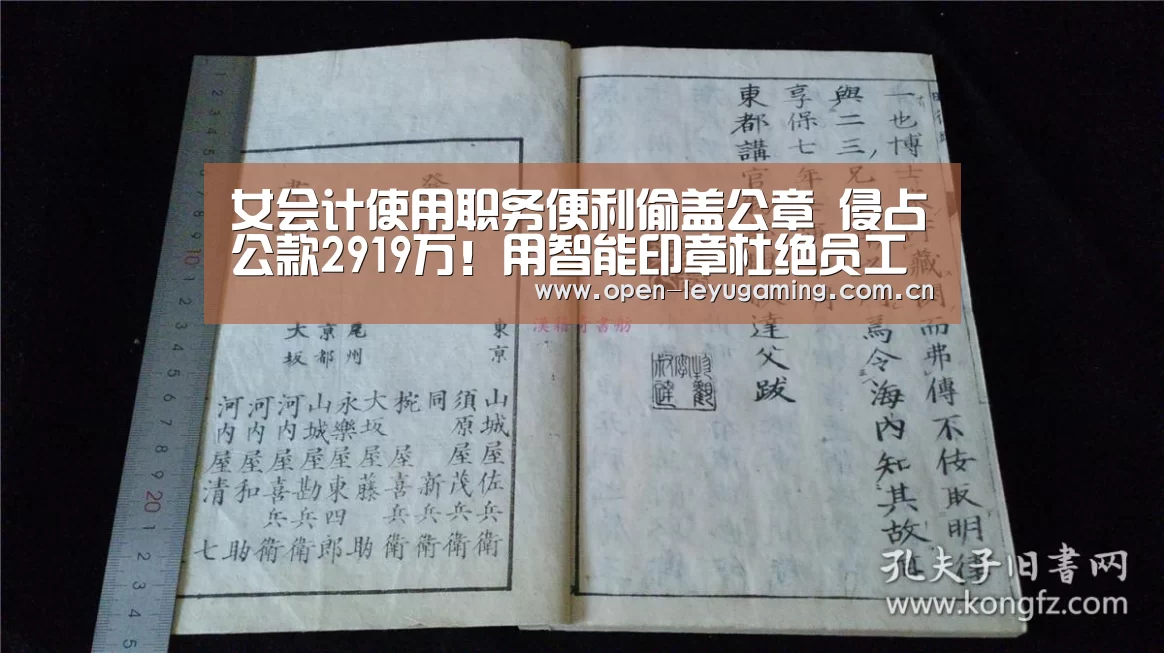 女会计使用职务便利偷盖公章 侵占公款2919万!用智能印章杜绝员工违规用印-乐鱼真人(图5) 乐鱼真人
