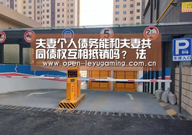 夫妻个人债务能和夫妻共同债权互相抵销吗? 法院:不行“乐鱼真人”(图1) 乐鱼真人