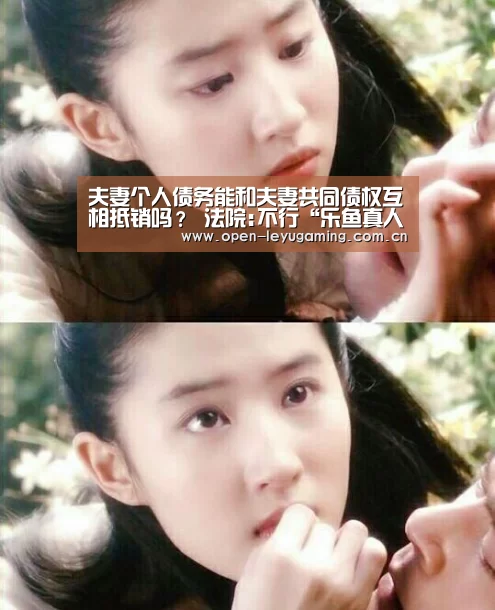 夫妻个人债务能和夫妻共同债权互相抵销吗? 法院:不行“乐鱼真人”(图3) 乐鱼真人