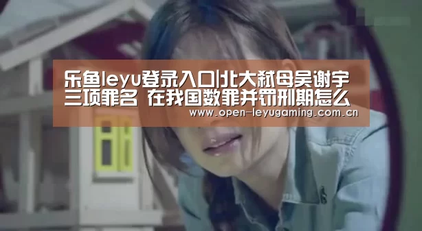 乐鱼leyu登录入口|北大弑母吴谢宇三项罪名 在我国数罪并罚刑期怎么算?(图1) 乐鱼真人