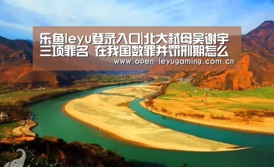 乐鱼leyu登录入口|北大弑母吴谢宇三项罪名 在我国数罪并罚刑期怎么算?(图2) 乐鱼真人